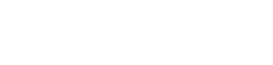 VizVibe logo